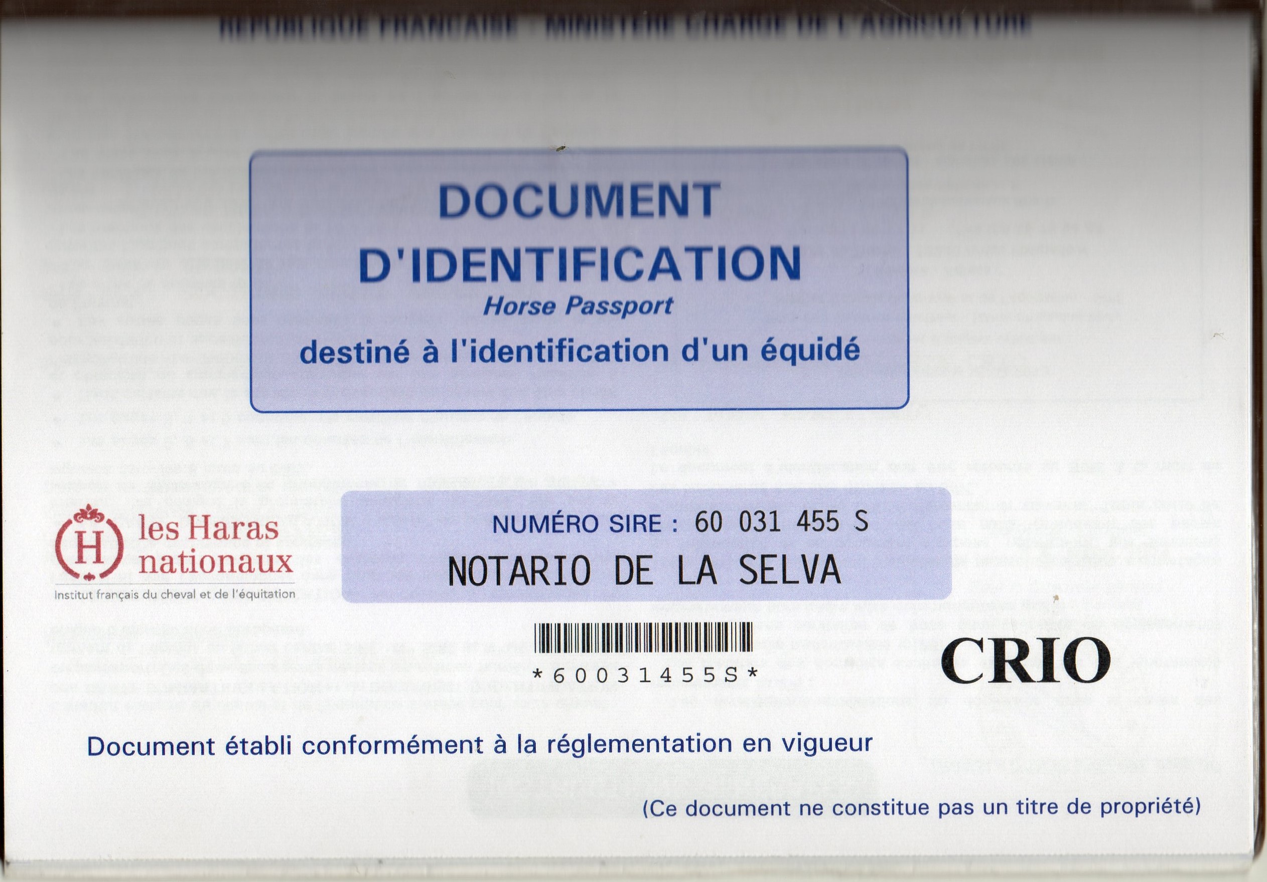 C est NOTARIO qui a eu le premier document CRIOLLO